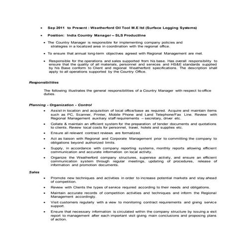 Country manager detailed responsibilities | DOCX