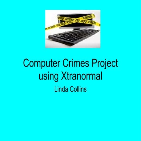 Computer Crimes Pro