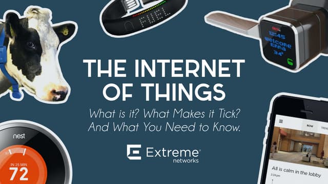 Internet of Things: What is it? What makes it Tick? What you need to know.