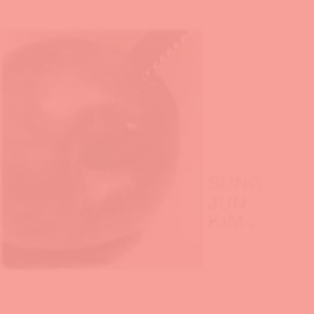 Portfolio_SungKim_2015_digital