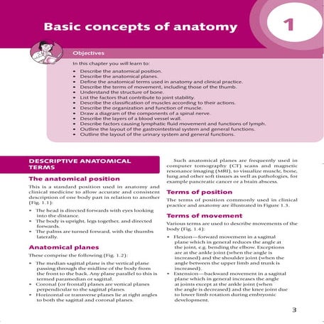 Basic anatomy pdf Biology Diagrams
