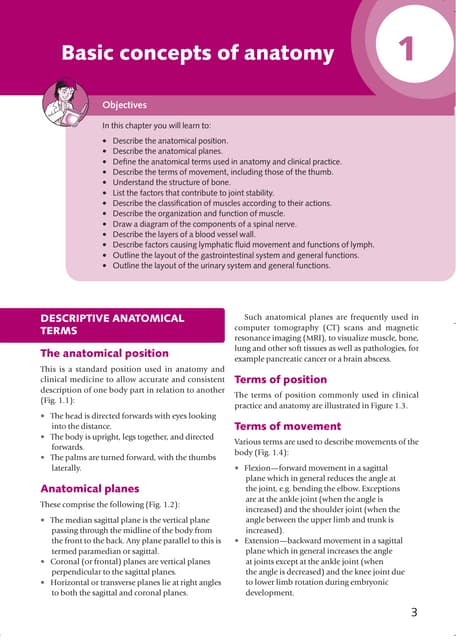 Basic anatomy pdf Biology Diagrams