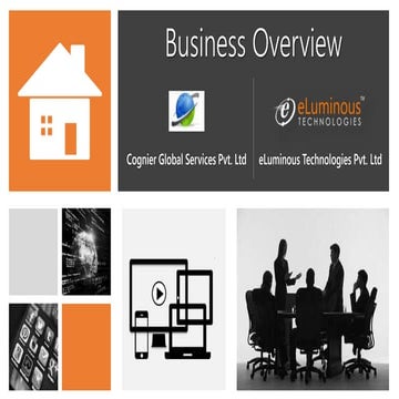 Business Overview