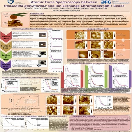 Poster Presentation Cristina Chiutu Borstel 2015