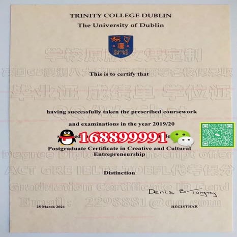 Technological University Dublin Diploma Degree Transcript | PDF