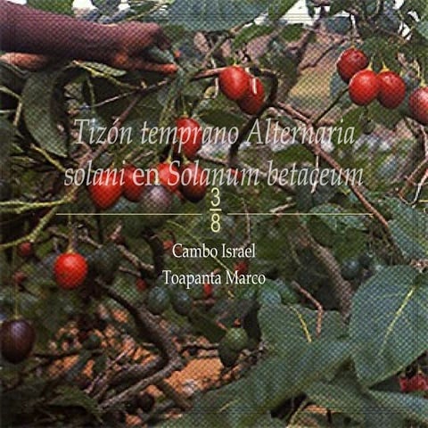 Síntomas y control de Alternaria-Solani-en-Solanum-Betaceum | PPTX