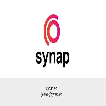 Synap Bullhound Pitch (1)