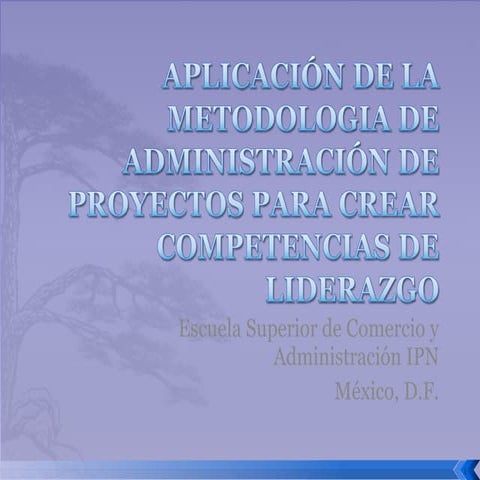 (99) Aplicación de la Metodología de Administración de Proyectos para crear c...