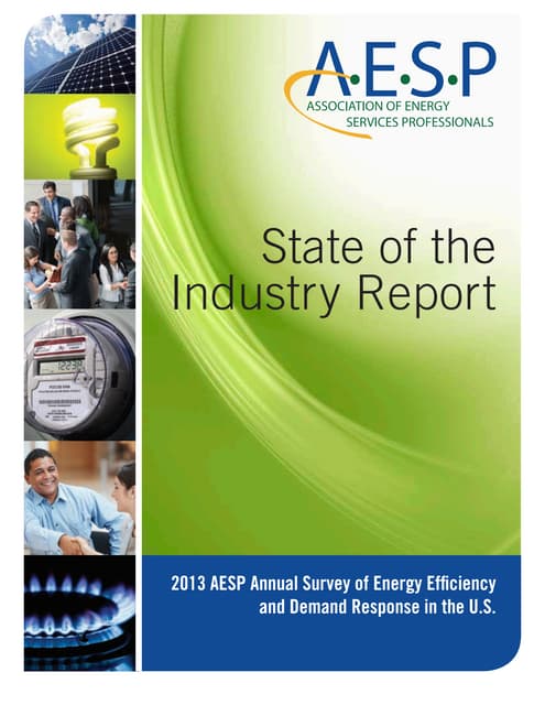 AESP_State of the Industry Report_2013
