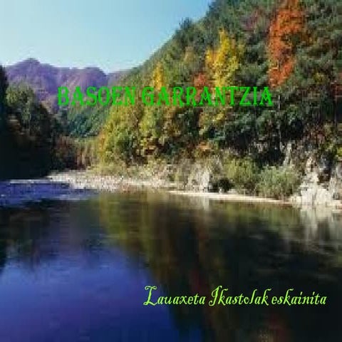 990_basoen garrantzia.ppt