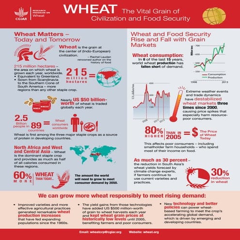 WHEAT: The Vital Grain of Civilization and Food Security