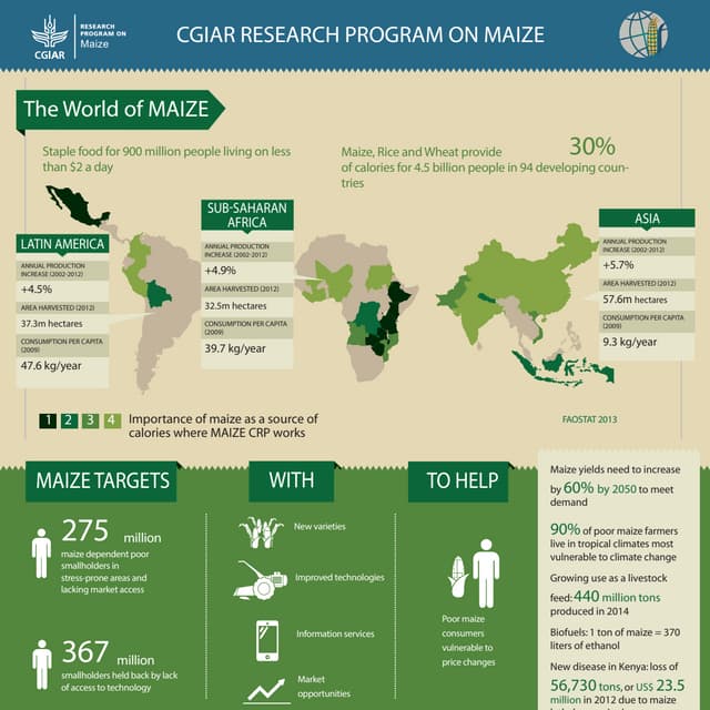 Infographic factsheet: The World of Maize