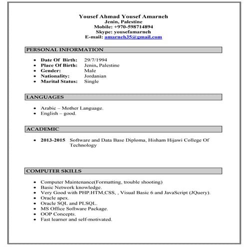 Yousef Amarneh CV