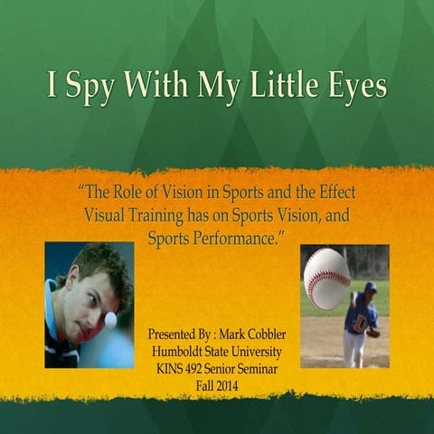 Mark Cobbler Lit Review Powerpoint