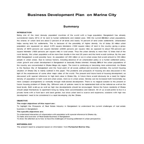 Business Development  Plan on Marine City