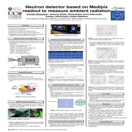 neutron-detector-based