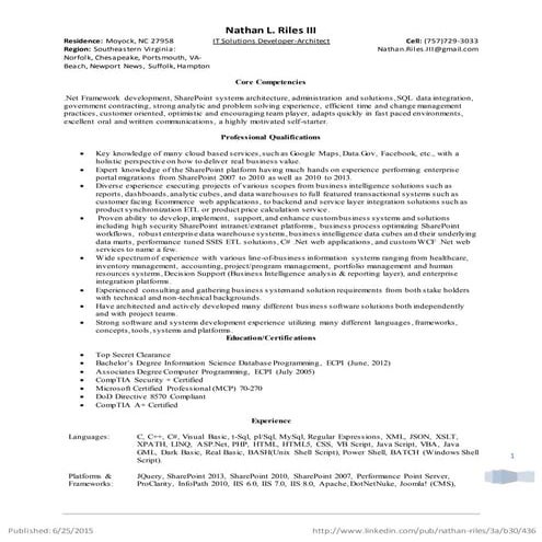 Resume - IT Solutions Developer-Architect