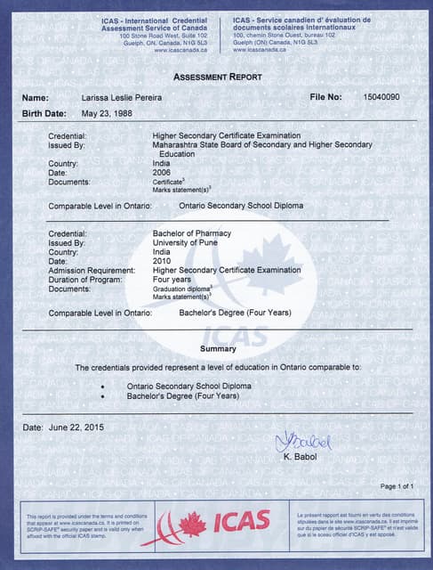 ICAS Degree Assessment Report | PDF