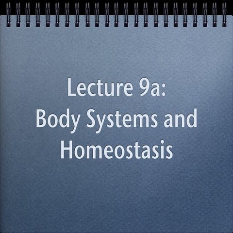 9a, tissues and homeostasis
