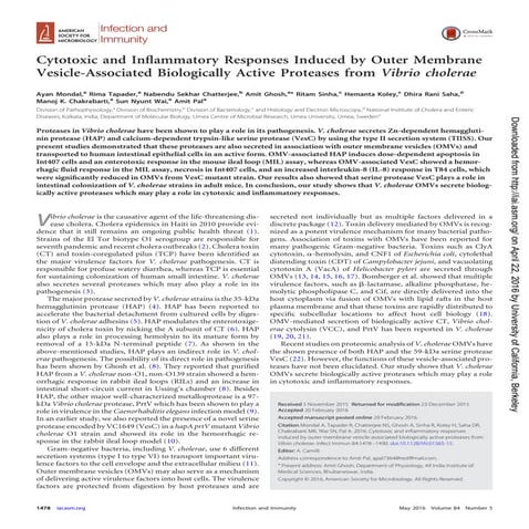 Bioengineering bacterial outer membrane vesicles as vaccine platform | PPTX