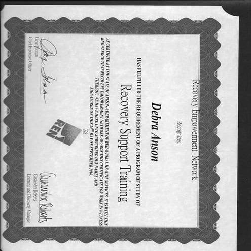 REN Certification | PDF