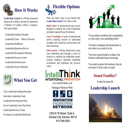 IntelliThink Leadership Launch Brochure-2015
