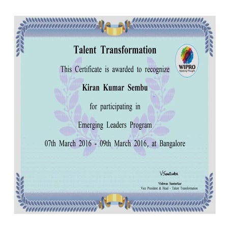 Emerging Leaders Program Pdf