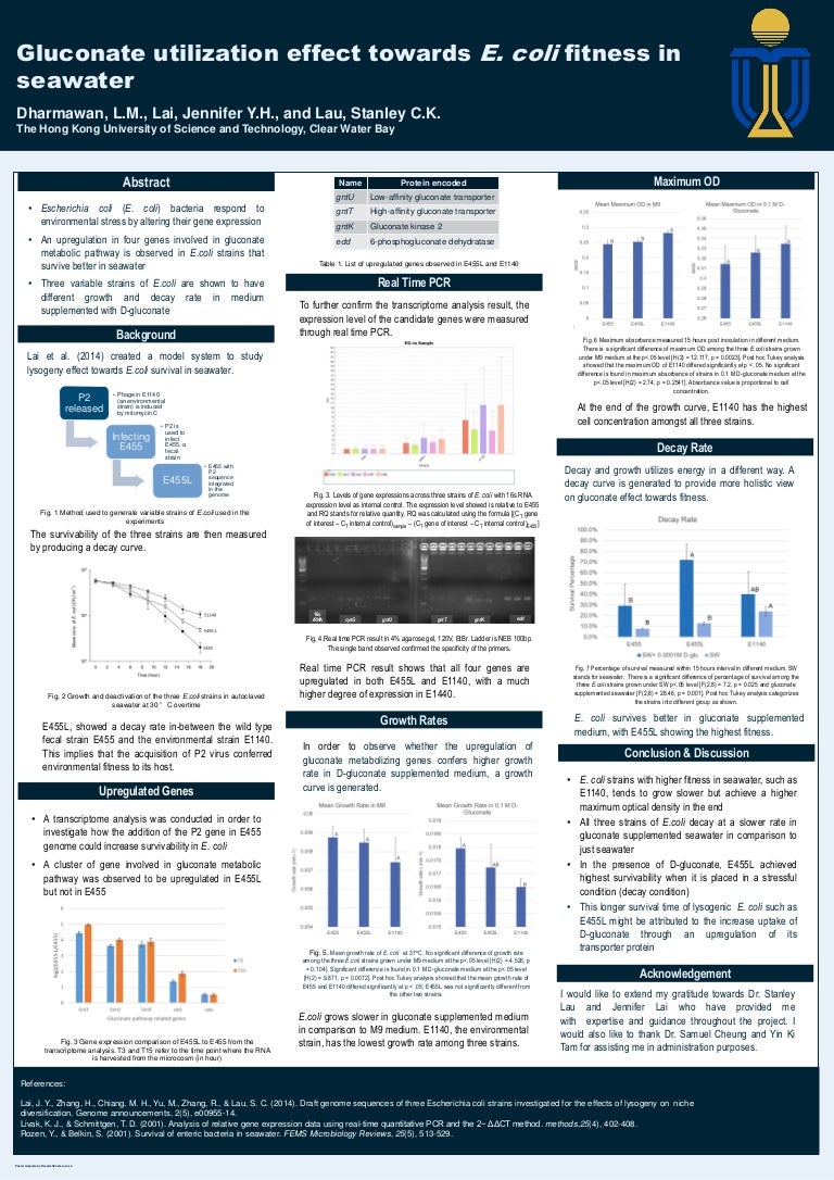 fyp poster 1 poster cientifico