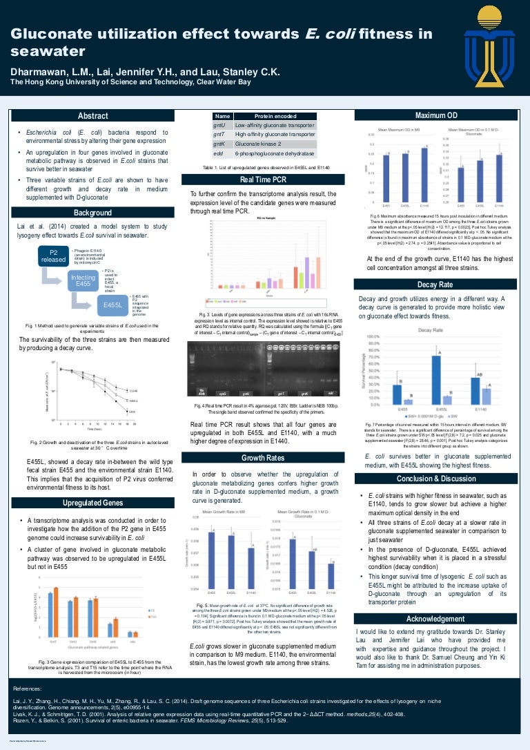 FYP Poster 1