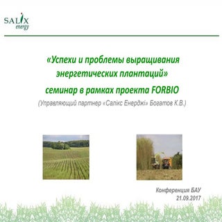 Company results of energy willow gr...