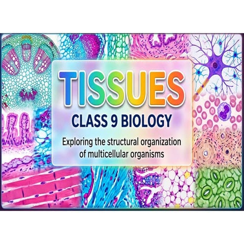TISSUES Class - 9th | PPTX