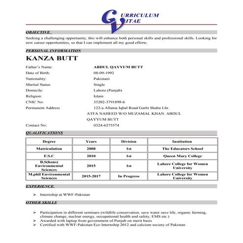 My CV (2) | DOCX