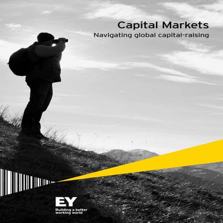 2014 EMEIA Capital Markets Brochure