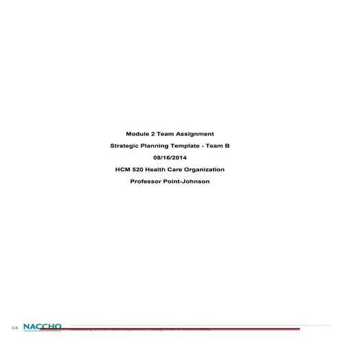 Team B - Strategic Plan Final-michelle's edit