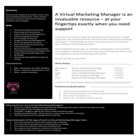 Virtual Marketing Manager