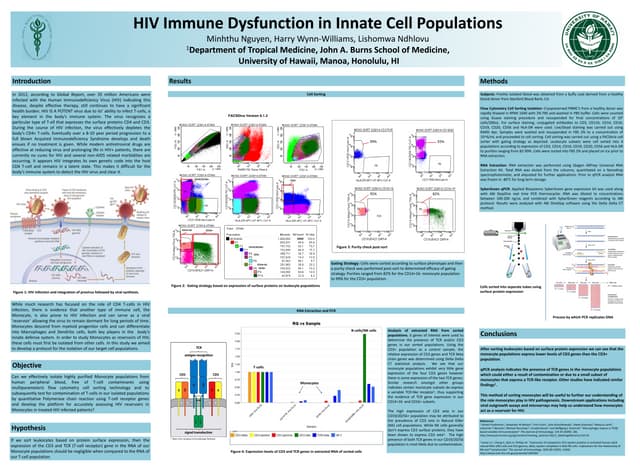 Minh's Poster