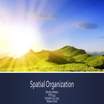 Spatial Organization