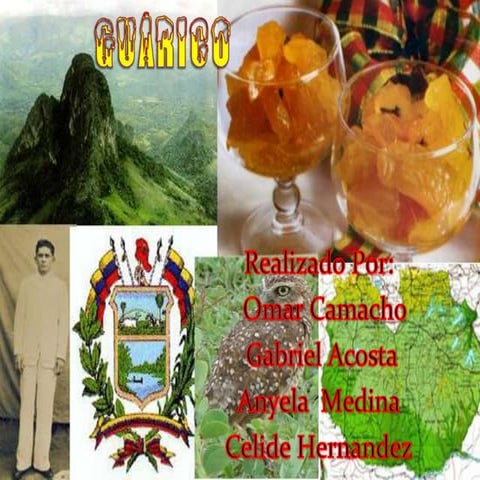 9cgabrielnoyaguarico 110228120854-phpapp01