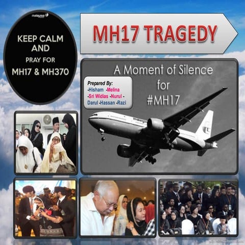MH17