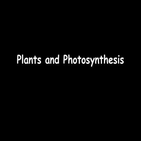 9 c plants and photosynthesis