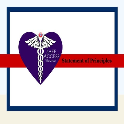 Safe Access Tennessee - Principles 12012015