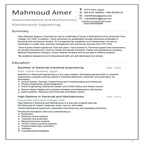 Mahmoud Amer instrument 10-2016