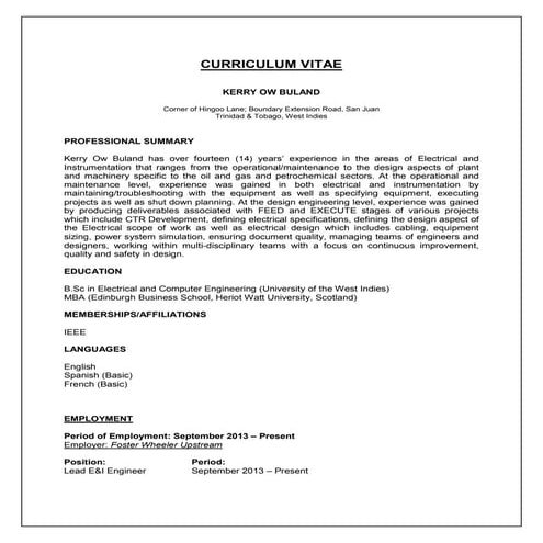 Kerry Ow Buland - Curriculum Vitae