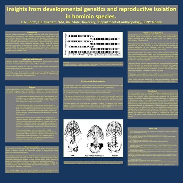 AAPA Poster. Insights from developmental genetics and reproductive isolation ...