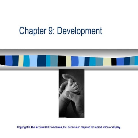 Comprehensive Developmental Psychology Notes PDF – Stages of Human ...
