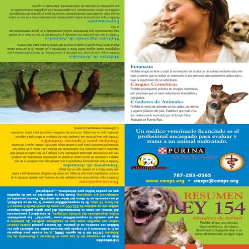 many mini brochureLEY 154_2