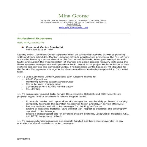 Mina George CV