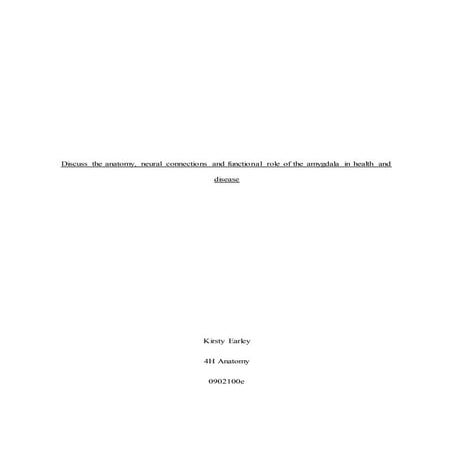 Anatomy of the amygdala | DOCX | Brain and Nervous System Disorders ...