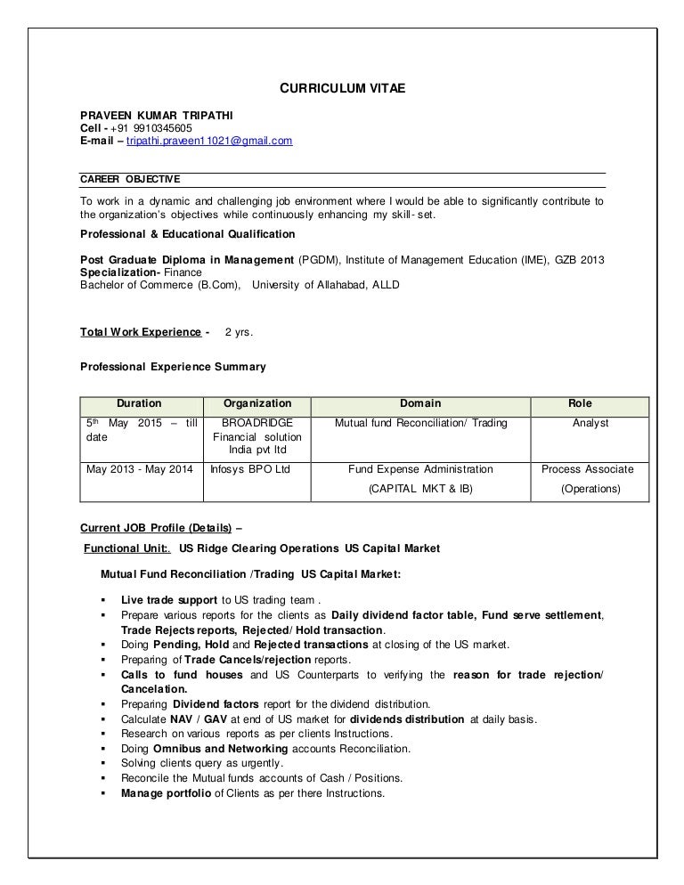 Curriculum vitae examples image