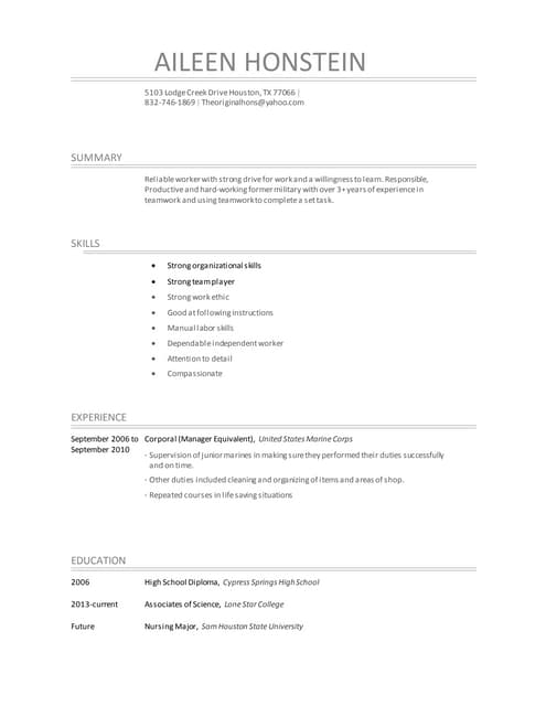 Ace-resume-CHT | DOC